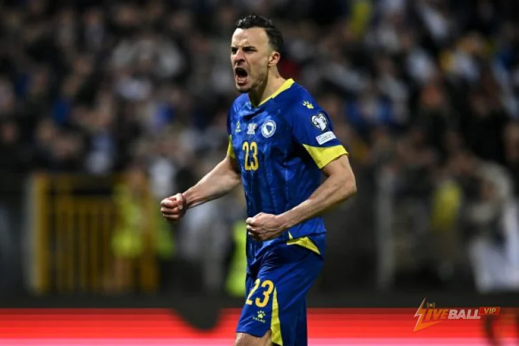 Haris Tabaković บอสเนียของฮอฟเฟ่นไฮม์ อยู่ในเรดาร์ของลีลล์